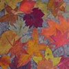 Fallen Leaves