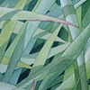 Grass I