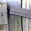 Barn Study VIII