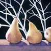 Winter Pears