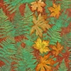 Fern Floor