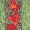 Grassland