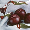 Ripe Plums