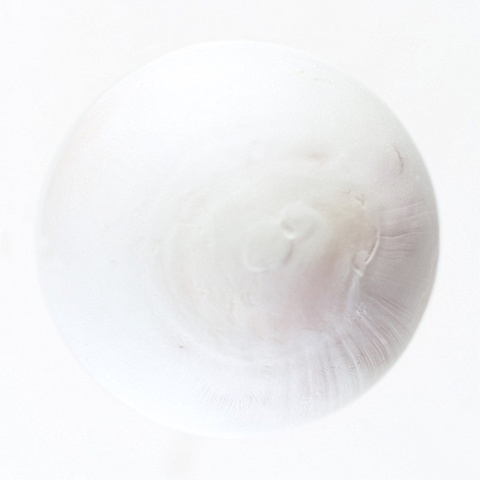 From the series The Osteoids
