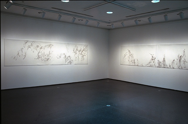 Installation View ( Accipiters and Winged Imperil at The Museum of Contemporary Art, Chicago, IL)