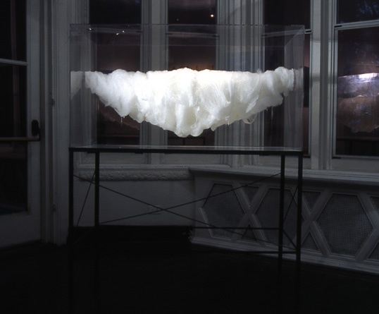 Husk ( Installation View at the Evanston Biennial in the Evanston Art Center, Evanston IL)