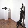 Installation View ( Wendy Cooper Gallery, Chicago, IL)