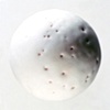 From the series The Osteoids