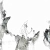 Winged Imperil (detail)