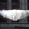 Husk ( Installation View at the Evanston Biennial in the Evanston Art Center, Evanston IL)