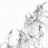Winged Imperil ( detail)