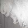Husk ( Day 1)