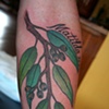 matt's gum leaves tattoo