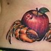 crab apple