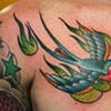 flaming swallow