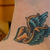 clipperwings 