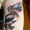 pj's pelican