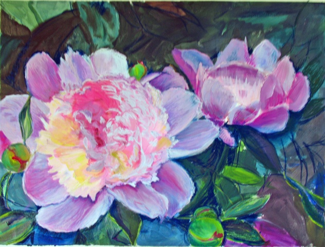 Garden Peonies