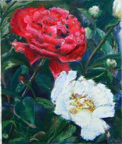 Red and White Peonies-  Sold