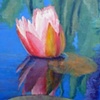 Lily Reflecting