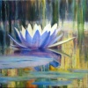 Opening Lily-Sold