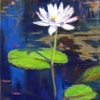 White Lily