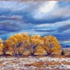 Afternoon Storm - Sold