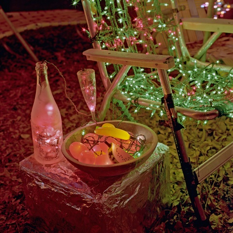 Fruit Bowl