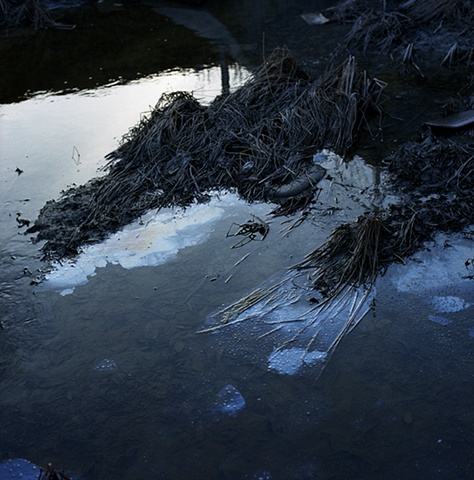 Highland Creek