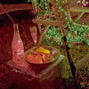 Fruit Bowl