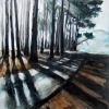 "New Light"