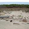 Block Island 2