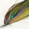 Feather-Leaf
