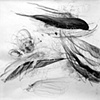 Wind, Palm