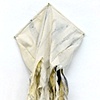 Kite Series III #1