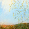 Forsythia