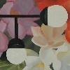 Sex & Flowers