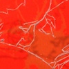 Untitled (detail)