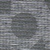 Zebra 6