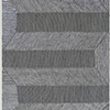 Zebra 5