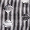 Zebra 1