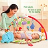Fisher Price