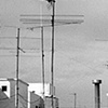 Svq