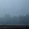 fog