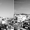 Bcn