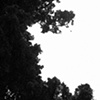 Grx, Garden