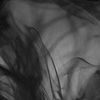 Liquid #5