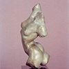 Torso