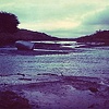 River, Ballinadee III (diptych)