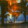 Pigeon Point palms I